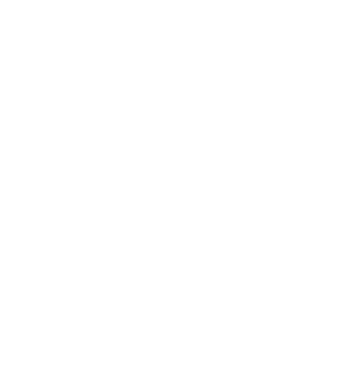 Api35 Logo