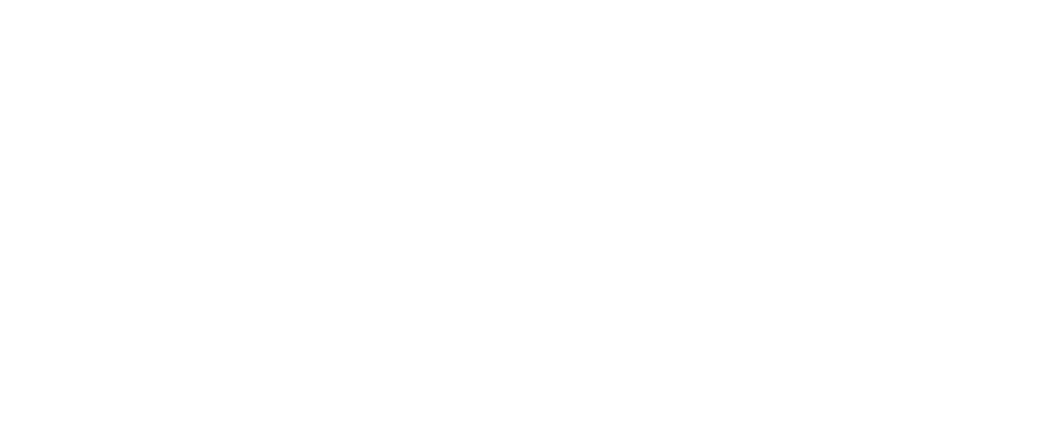 api(+) - Branded Design + Architecture